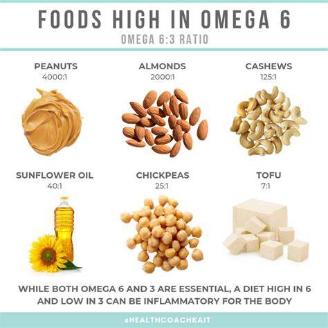 omega 6 rich foods list.